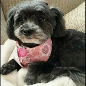 Rosie says Bundle/Save💕